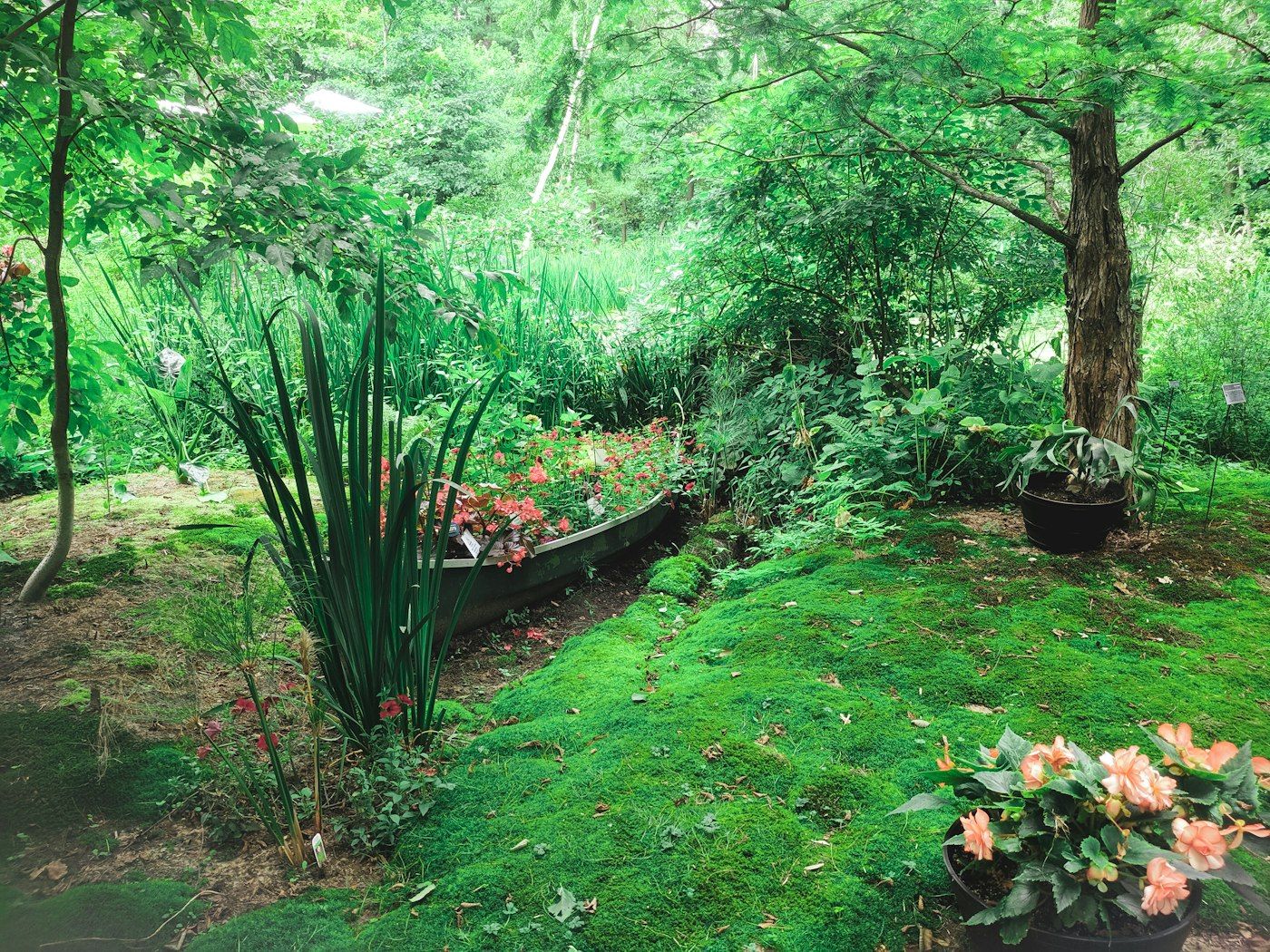 Jardin luxuriant aménagé