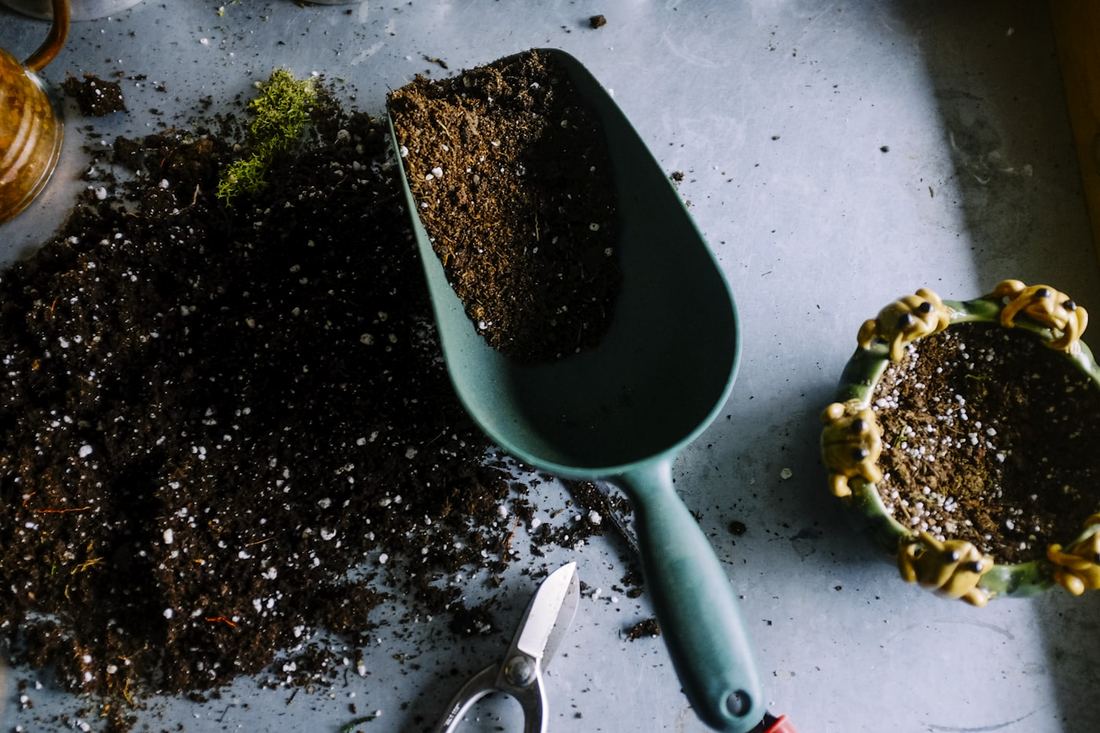 Outils de jardinage et terreau